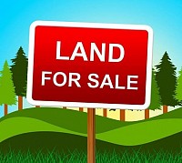 Half plot of land, with c of o in meadow view estate ogombo opposite cedarcare hospital ajah lekki Lagos.